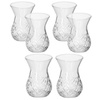 6x Turkish Tea Glass 'Timeless' 155 ml | Paşabahçe