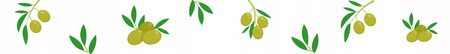 4x Aleppo Soap with Olive Oil & Laurel Oil (2%, 5%, 10%, 40%) | Queen Pafion