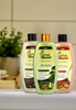 Szampon z Olejem Arganowym 400 ml  Bento Night