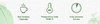 "Mint & Rose" Green Tea 35g | Sindibad