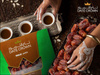 Daktyle Suszone Khalas 500g | Date Crown