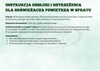 Odświeżacz Powietrza SABAYA do Wnętrz 500 ml | Al-Rehab