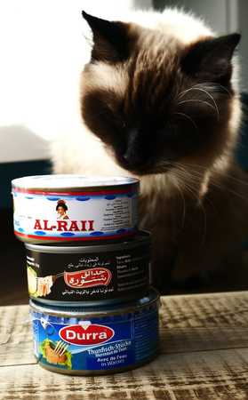 Light Meat Skipjack Tuna Chunks 160g | Al-Raii